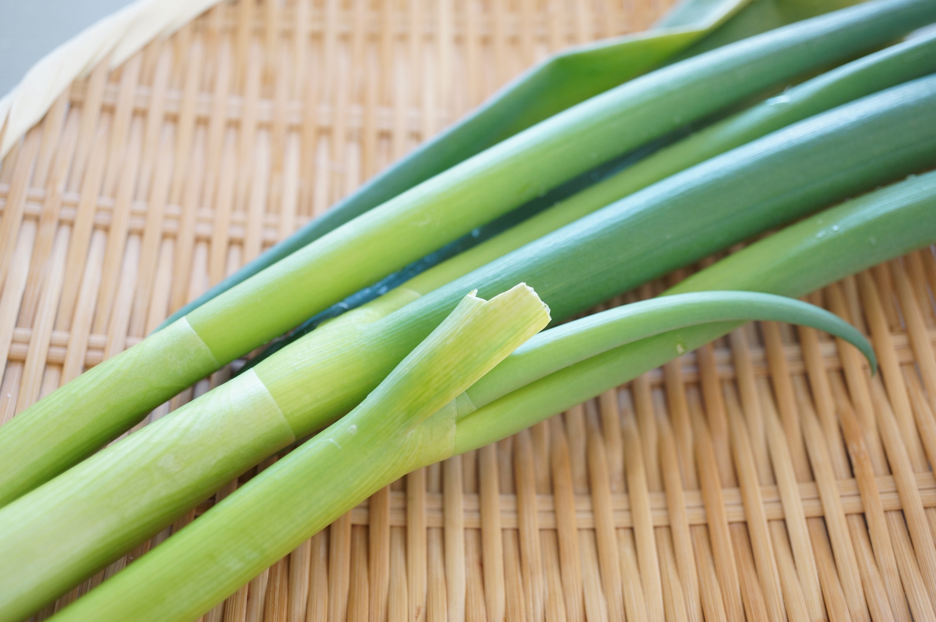 花粉症対策！家族を守るための10のヒント